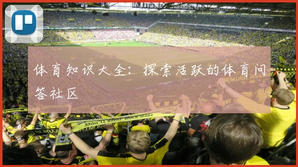 体育知识大全：探索活跃的体育问答社区