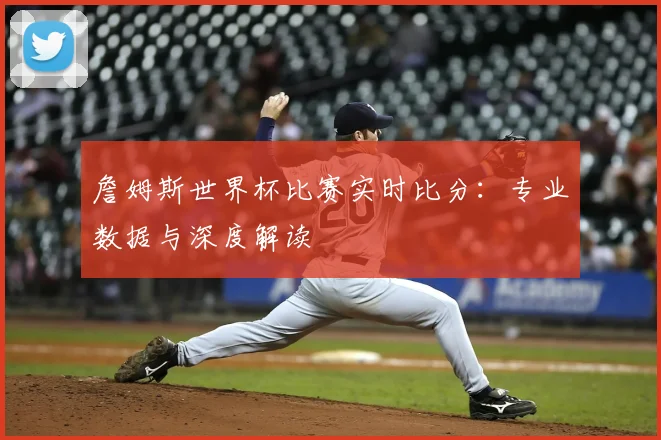 詹姆斯世界杯比赛实时比分:专业数据与深度解读