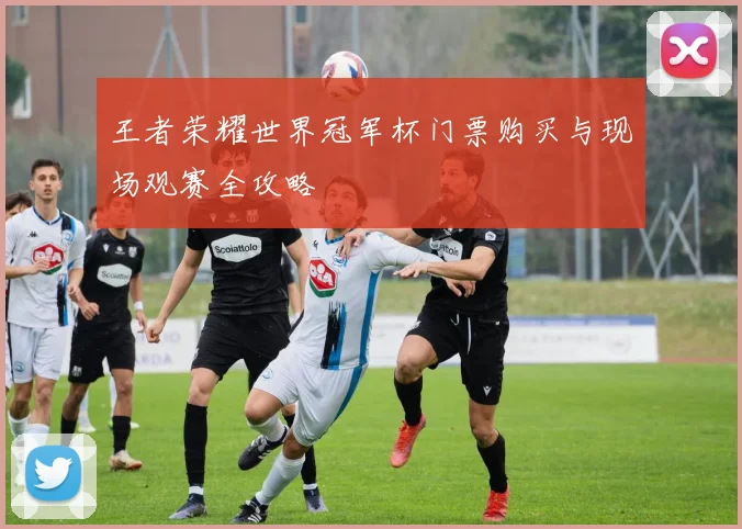 王者荣耀世界冠军杯门票购买与现场观赛全攻略